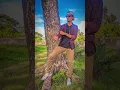 Download Lagu Subscribers Next Video or Jonno #shortvideo #vice #tiktok #motivation #tiktokvideo #foryou#ayanashik
