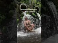 Download Lagu Explore Kuta Lombok with Mad Monkey Hostel: Indonesia’s Best-Kept Secret #thingstodo #hiddengems