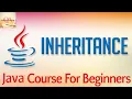 Learn Java Tutorial for Beginners Part 26 Inheritance