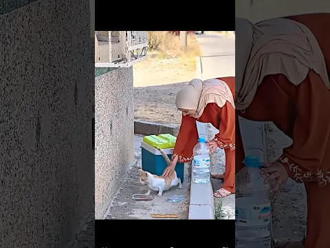 Humanity Is Still Alive ❤️🥺 One Small Act of Kindness Touched Everyone’s Heart