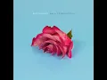 Without You - Picturesque
