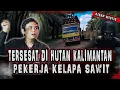 Download Lagu CERITA HOROR PEKERJA SAWIT!!SAAT BERTUGAS DI PULAU KALIMANTAN!!!!