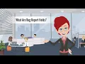 What Are Bug Report Fields