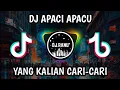 Download Lagu DJ APACI APACU REMIX FULL BASS VIRAL TIKTOK TERBARU 2022.