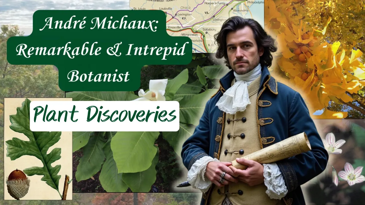 André Michaux: Formative Years