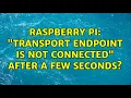 Raspberry Pi Transport endpoint is not connected after a few seconds