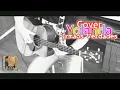 Download Lagu Irmãos Verdades-Yolanda(Cover BASS)by A.Alegrete.2022