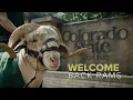 Welcome Back to Colorado State University