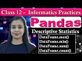 Pandas DataFrame - max min count sum CBSE Class 12
