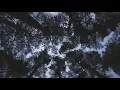 nuture relax (music video)