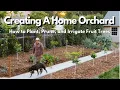 How to Plant Prune and Irrigate Fruit Trees EVERYTHING YOU NEED TO KNOW