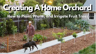 How to Plant Prune and Irrigate Fruit Trees EVERYTHING YOU NEED TO KNOW