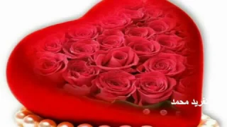 صلاح بن البادية اين مي تغريد محمد 