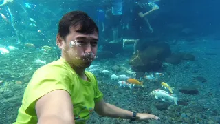 Umbul Sigedhang - Kapilaler (Wisata Air)