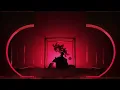 Empire Of The Sun, Vintage Culture - Cherry Blossom (Vintage Culture Remix / Visualiser)