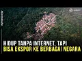 Download Lagu IBU CERDAS! Manfaatkan Potensi Desa, Bisa Ekspor Ke Berbagai Negara Tanpa Internet!