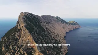 video_image