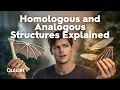 Homologous vs Analogous Structures Divergent and Convergent Evolution Biology