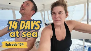 When the Ocean Tests EVERYTHING – Sailing Mauritius to South Africa