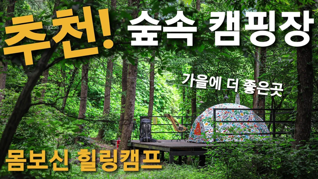 추천 숲속 캠핑장!! 여름에 갔지만 가을이 더 기대되는 곳!! 시원한 나무 그늘 아래 몸보신 먹방!! l 짱크루 l 오토캠핑, 미니멀캠핑, forest camping 호명산캠프 サムネイル