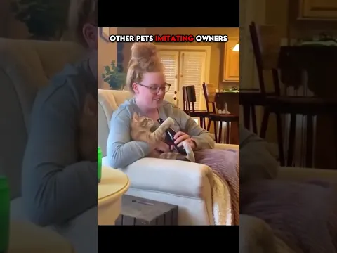 Pets Imitating Owners..
