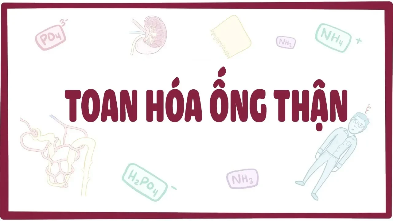 Outline Video Toan hóa ống thận