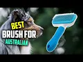 Top 4 Best Brush for Australian Shepherd Review - Professional Double Sided Pin 2023