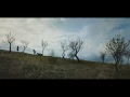 Mira Luoti - Pinnan alla