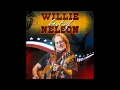 Do You Realize by Willie Nelson