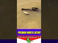 Download Lagu Wie durft deze schurk te vangen ‼️🤣