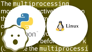 Python multiprocessing memory usage