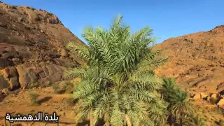 شيلة حايل ادا العليوي كلمات مشعل الاسمر ابناء قرية ريع تقريب 