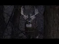 BOONER Bowhunting the Rut in Kansas