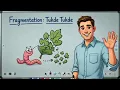 How does decomposition work Ecosystem recycling process