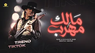 سلطنة وطرب  م الك مه  رب                   تريند التيك توك          دندنها