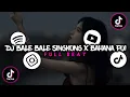Download Lagu DJ BALE BALE SINGKONG x BAHANA PUI | FULL BEAT TERBARU 2023 (Dj Rahmat)