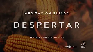 Medita 15 Minutos Cada Mañana y Observa Cómo Cambia Tu Cerebro | Meditación Guiada | Mindful Science