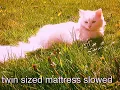 twin sized mattress - the front bottoms (slowed + reverb)
