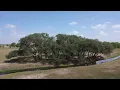 17797 FM 1160 - El Campo TX