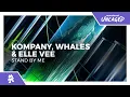 Download Lagu Kompany, Whales \u0026 Elle Vee - Stand By Me [Monstercat Release]