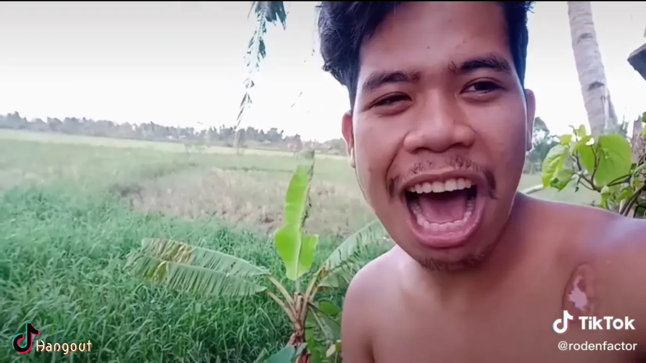 RODEN FACTOR Compilation