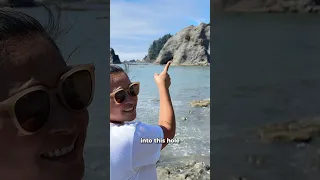 We didn’t cross Hole-in-the-Wall, but hey 20,000 steps is a solid win! 💪