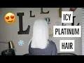 ICY PLATINUM HAIR VLOG TAYLOR MORGAN Guy Tang