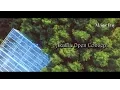 Download Lagu MAGIC DAY WEDDING VIDEO // AKACIA OPEN CONCEPT // 4K