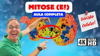 MITOSE: Fases, Divisão Celular e Eventos - AULA COMPLETA | Ciência Traduzida com Professor Hilton