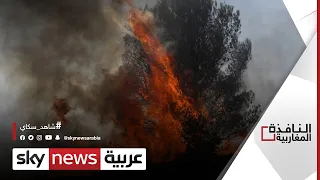 حرائق الغابات تضرب منطقة العرائش المغربية النافذة المغاربية 