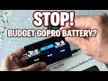 Stop Don t Buy the GoPro Enduro Battery TELESIN Charger Review