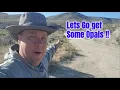 Opal Hunting Adventure at Nevada s Royal Peacock Opal Mine