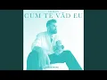 Download Lagu Cum te văd eu (Remix By Golstox)