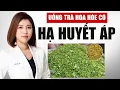 Lagu Uống Trà Hoa Hòe Có Hạ Huyết Áp Không? | Bác Sĩ Vân Anh